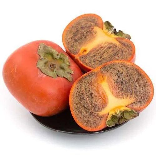 1056_1_20190611093617