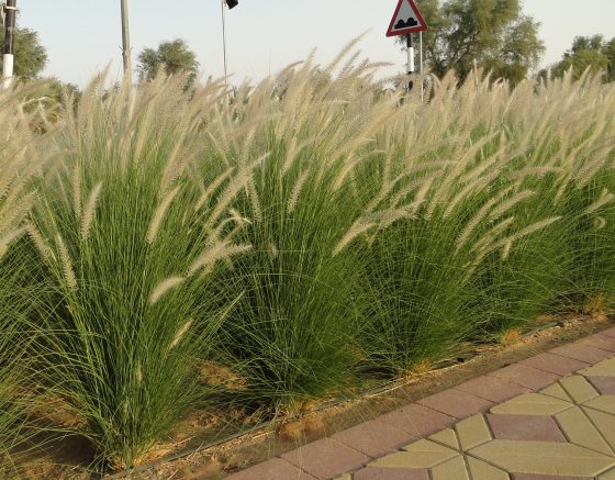 2634925d72c25211cde931a85a3ed8eda2a898