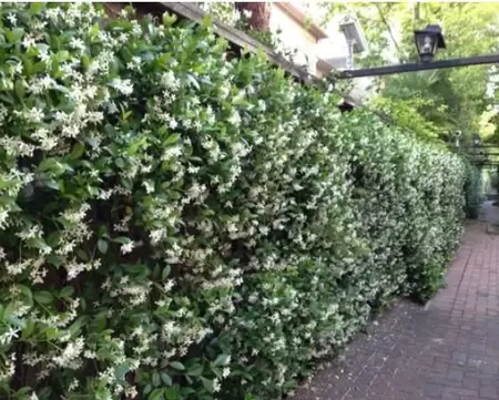 28316c8a40e9447261624edf7d3ba1f3