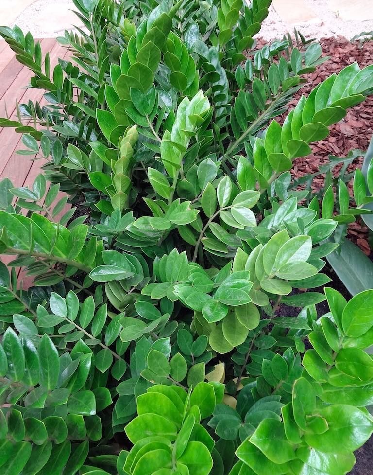 5211642d9964ea5775b860e2be725abc-e1683915934428