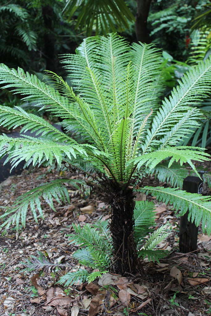 6740351193_b51e6b26e0_b