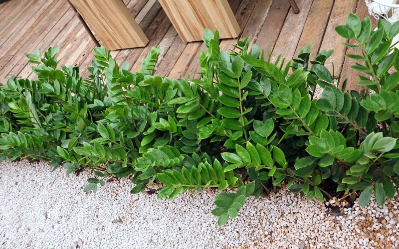 767fe74673326a72aa2e90a7585c895a-e1683915905792