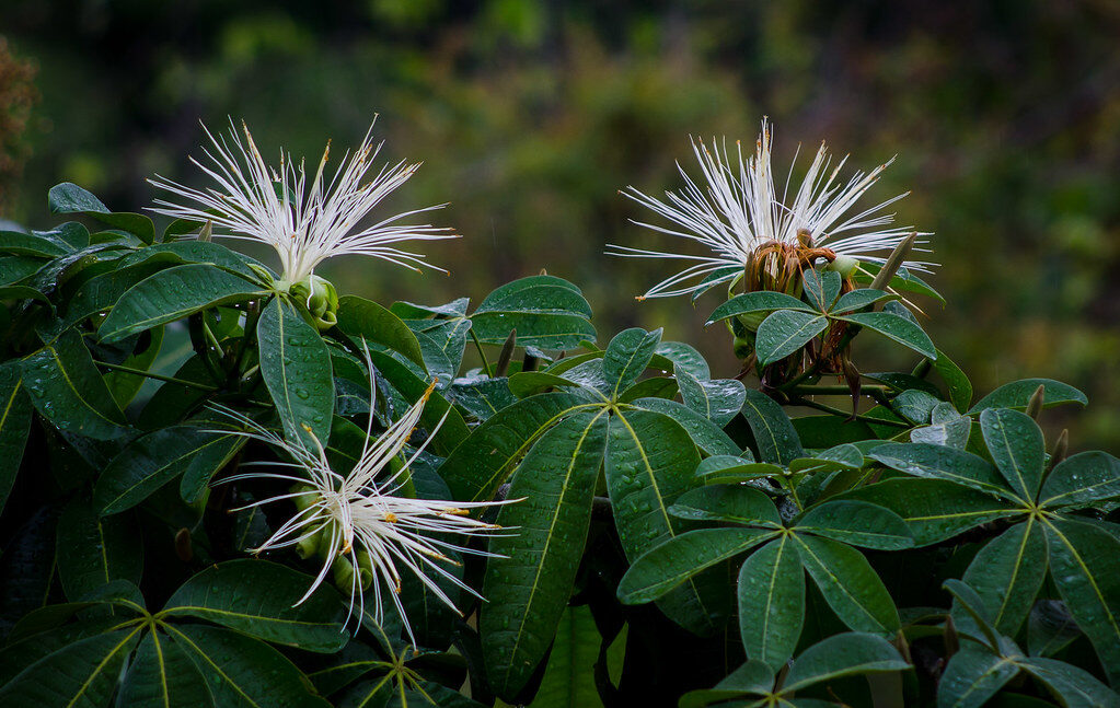 8011962893_74fcb4a98b_b-e1686320897467