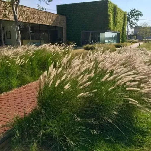 D_NQ_NP_638977-MLB50968266963_082022-O