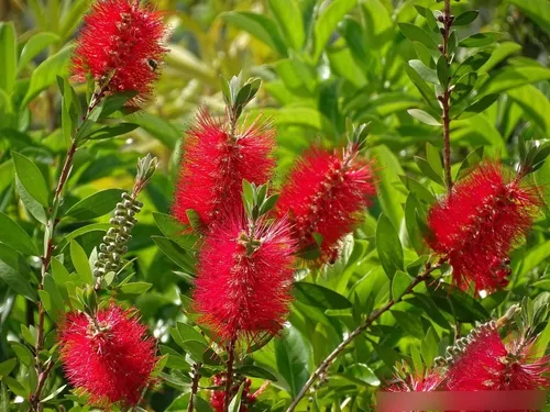 D_NQ_NP_756143-MLA52129933550_102022-O