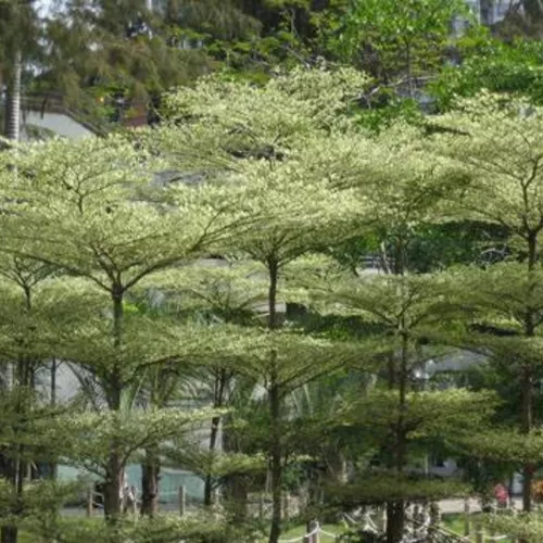 D_NQ_NP_792873-MLB51257495071_082022-O