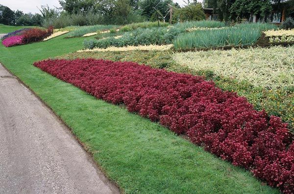 d99a5e5538b0e78106a593746fa9374f