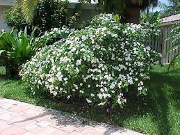 download - 2023-10-07T082310.429