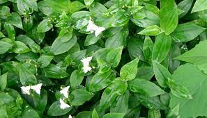 download - 2024-01-08T115831.325