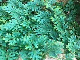 download - 2024-01-13T131526.723