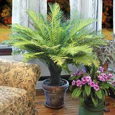 download - 2024-01-13T172914.515