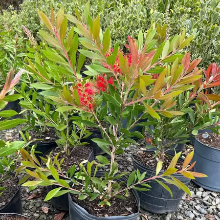 f5f89eb68c6be411c1130b018dab67a5