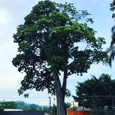 images (14)