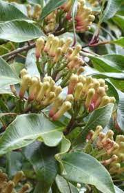 images (19)
