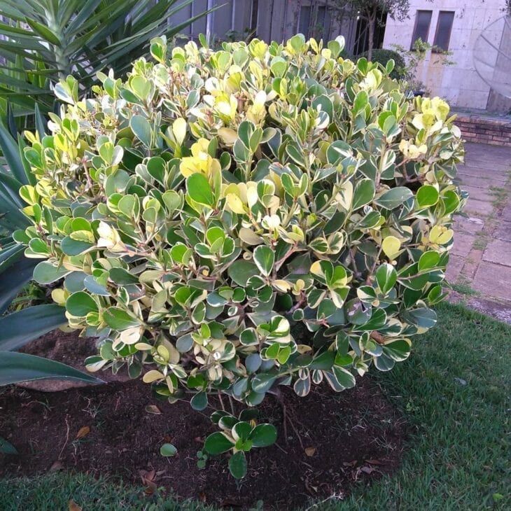 rPvJou8K30EWBYej9CGI1kwbXR7gM2l5-kjEBN39v0W5if1YKhGDFH6Mx2ITmbzlt