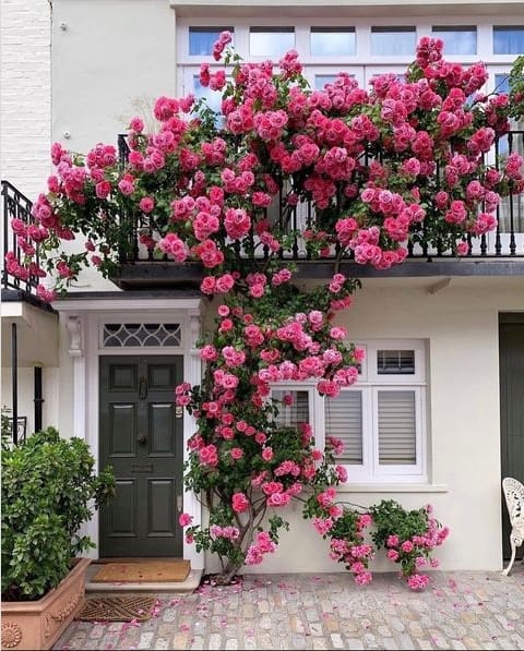 1-fachada-com-rosa-trepadeira-Pinterest