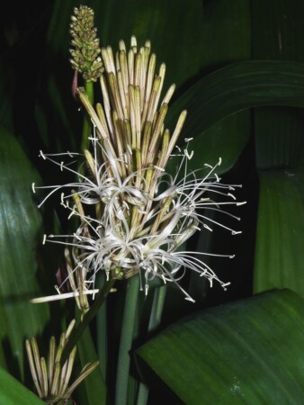 4271061619_dc6c0f9809_b