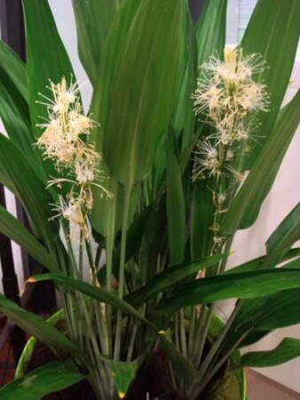 d364b886d33b5978233d671ec2daa48c (1)