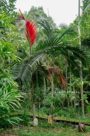 a7f4dc30196c1afd25737d29800565ae