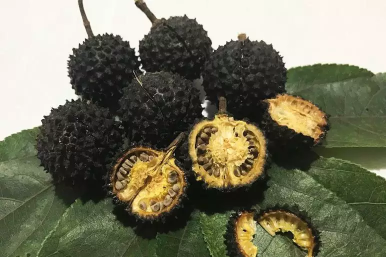 mutamba