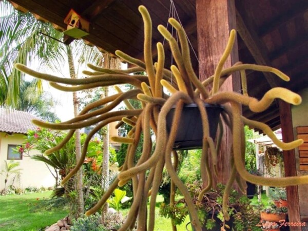 CREATOR: gd-jpeg v1.0 (using IJG JPEG v62), quality = 100